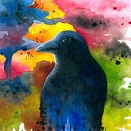 BoyNamedCrow