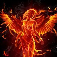 A Phoenix