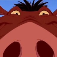 Mr. Pig