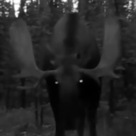 comradeMoose