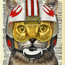 Alleycat