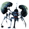 Haywire