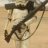 sandtroopers