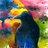 BoyNamedCrow