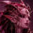 Nexira
